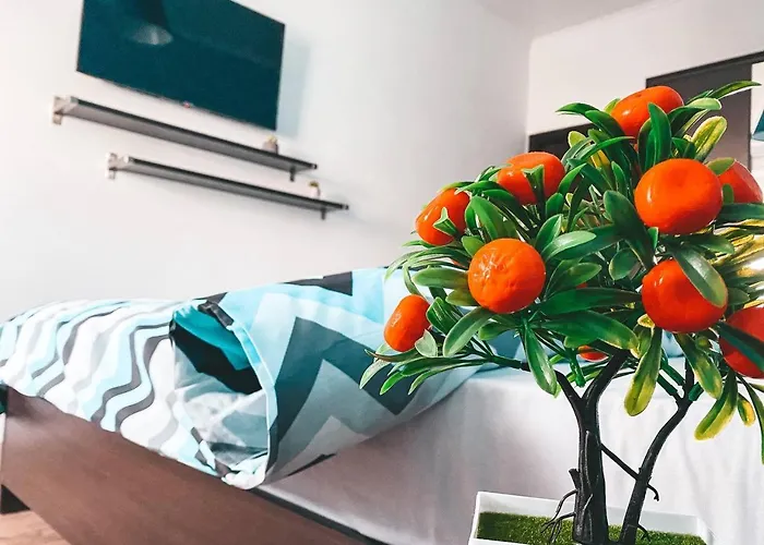 Ultra Center Apartment